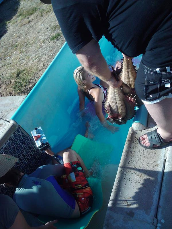 Piranha 3DD